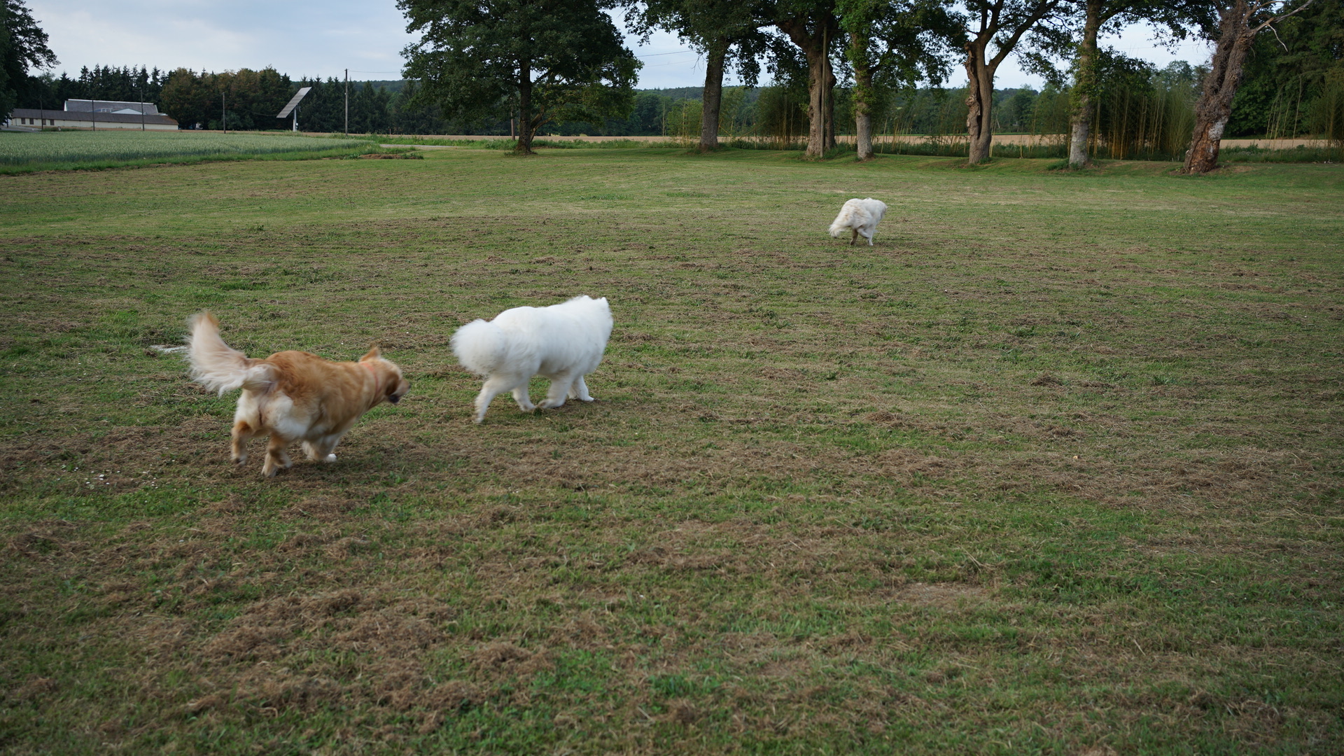 DSC04381.JPG
