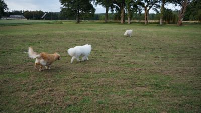DSC04381.JPG