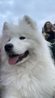 FullSizeRender-53.JPEG