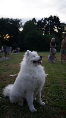 DSC04412.JPG