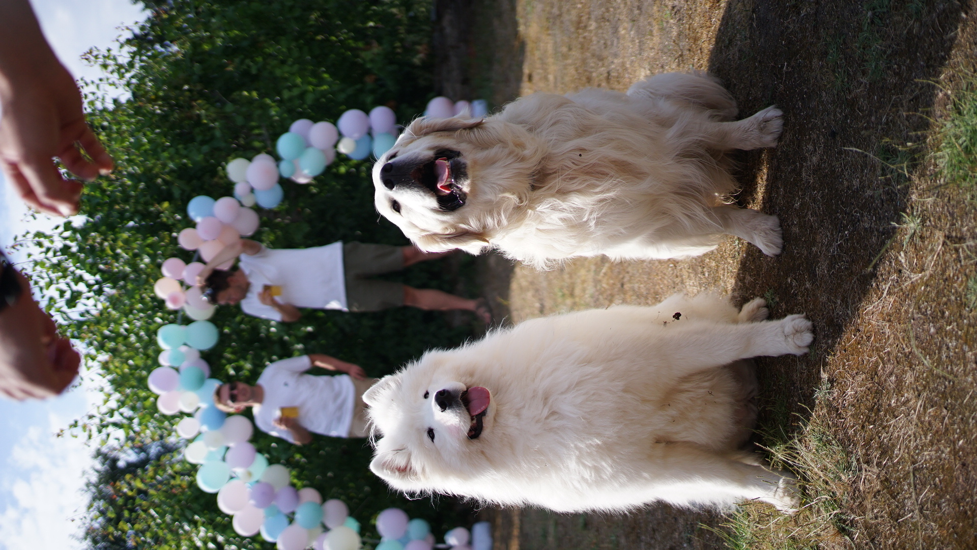 DSC04323.JPG