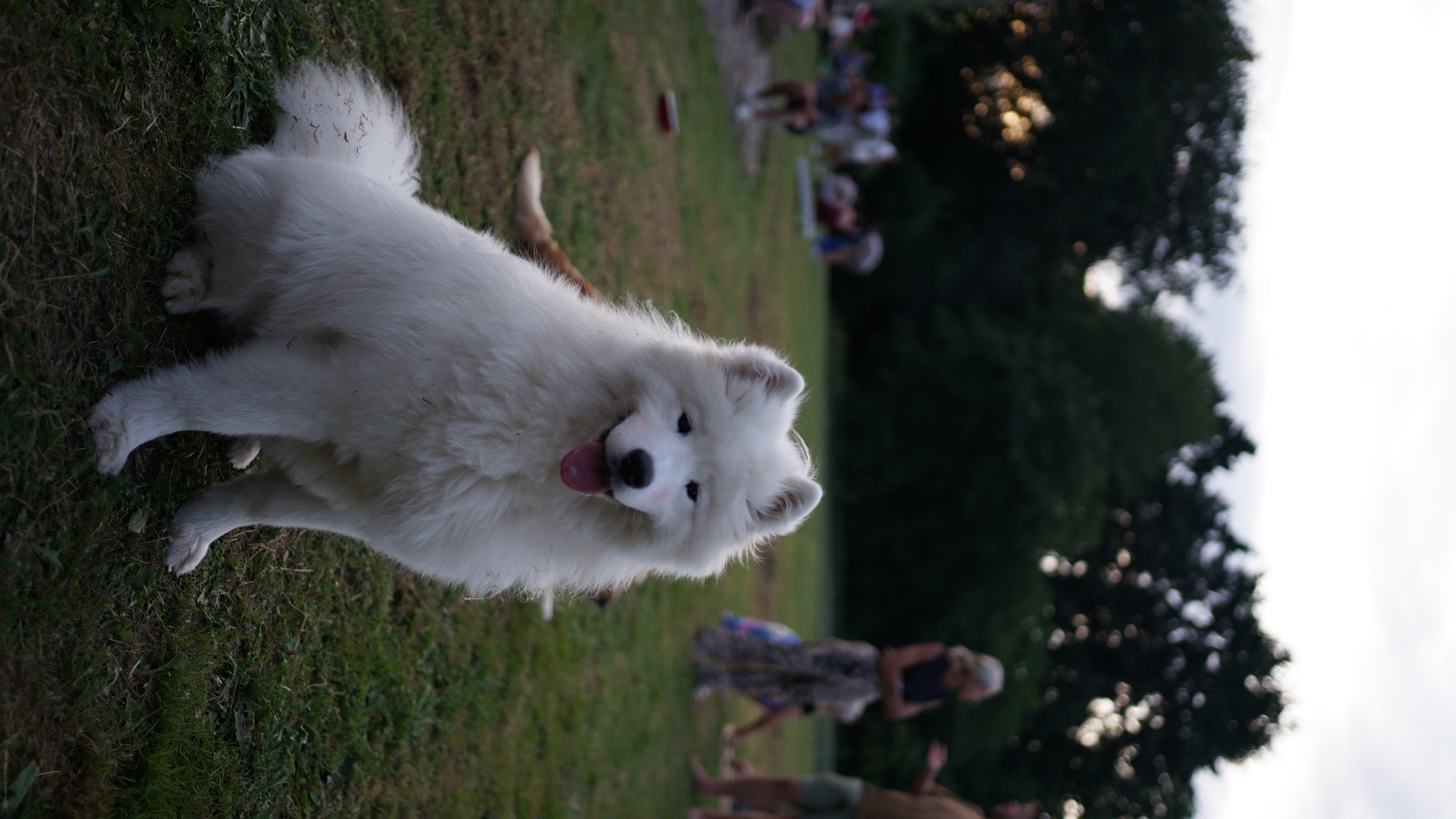 DSC04413.JPG
