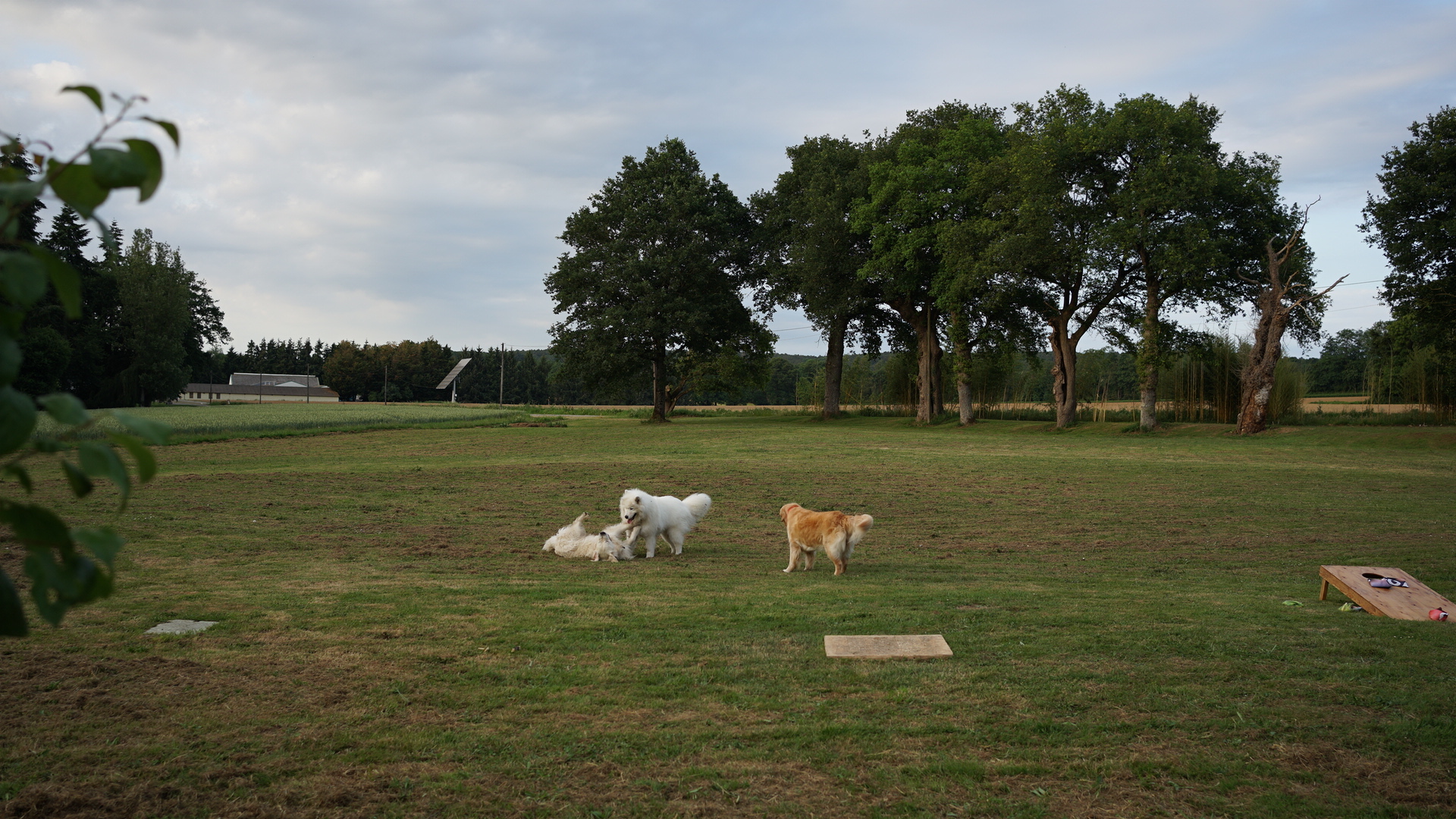 DSC04379.JPG