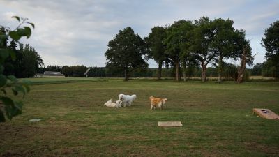 DSC04379.JPG