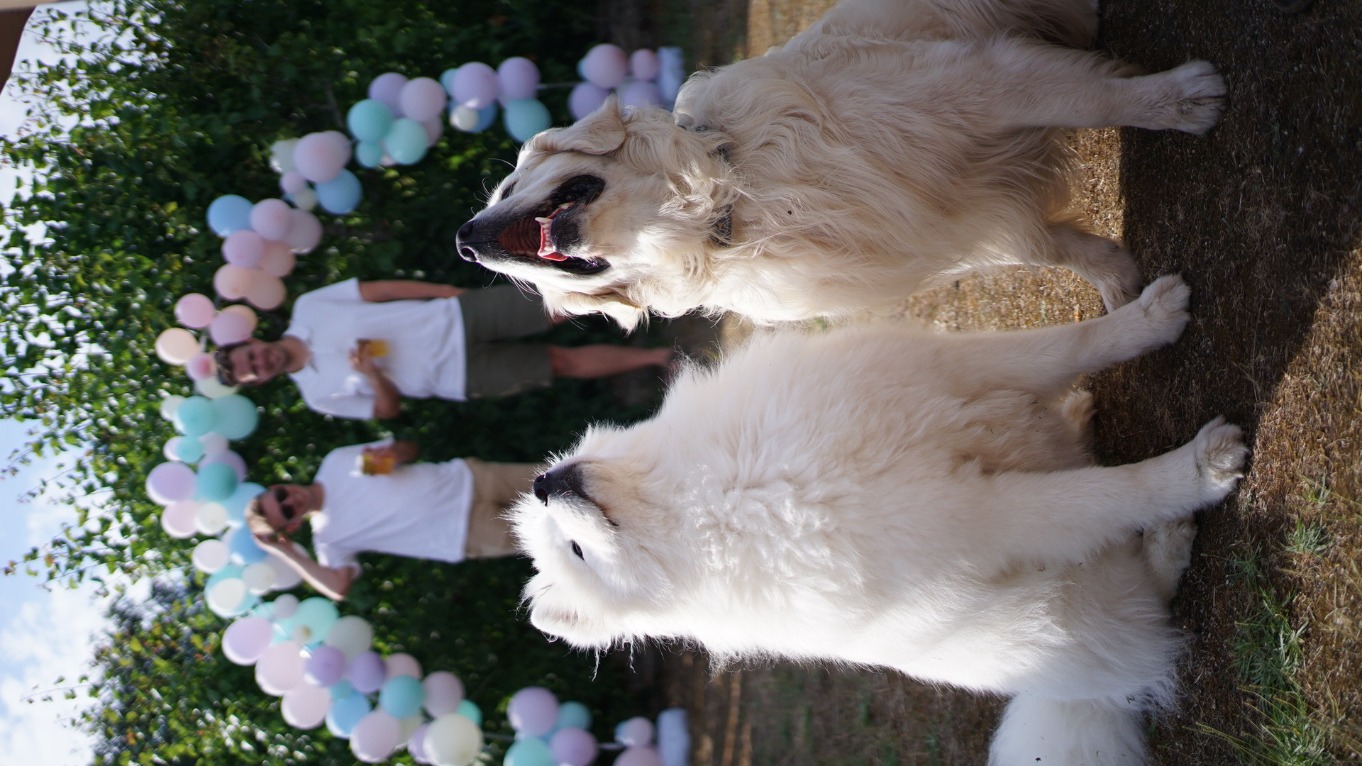 DSC04317.JPG
