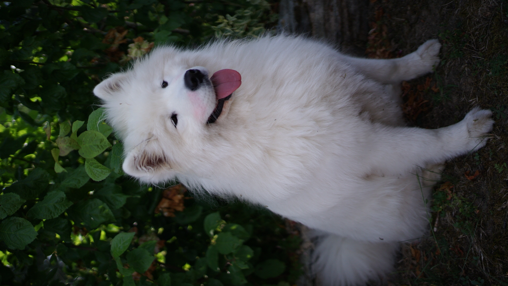 DSC04310.JPG